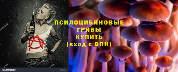 прущая мука Аркадак